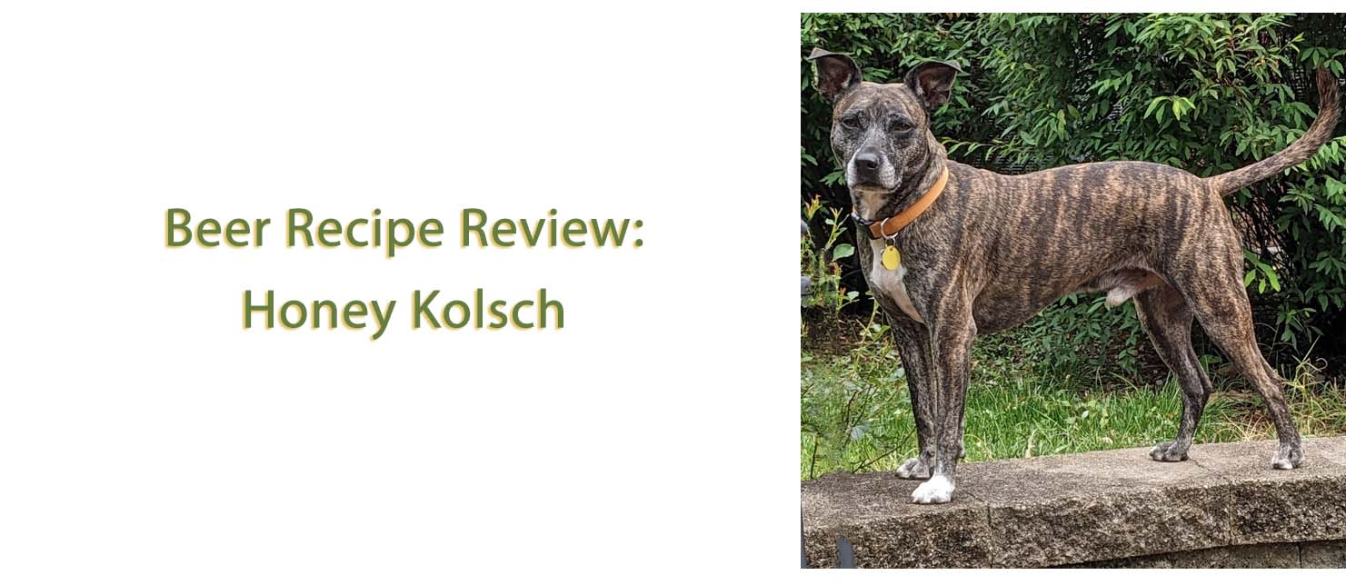 Honey Kolsch Recipe Review