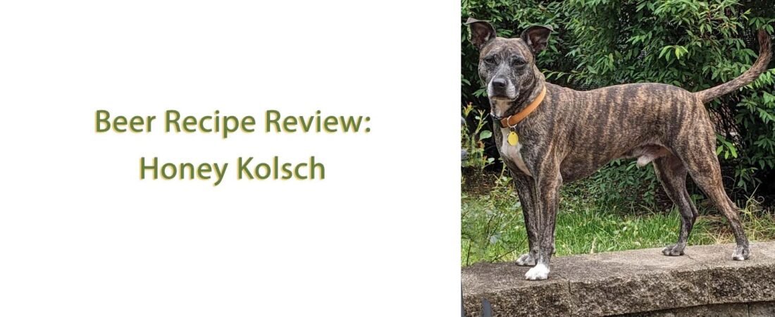 Honey Kolsch Recipe Review