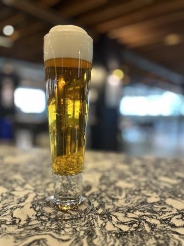 Czech Pilsner