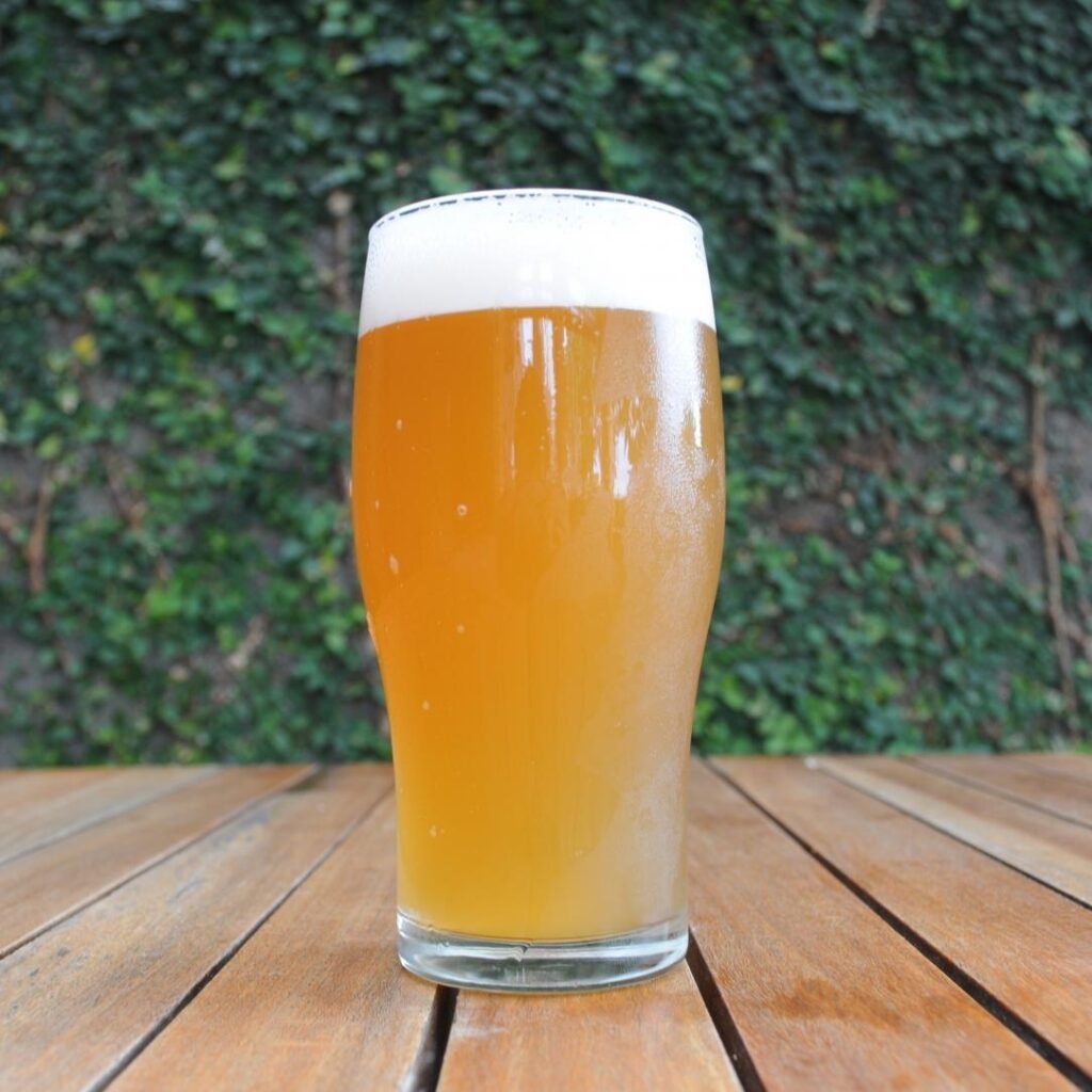 Hazy New England IPA